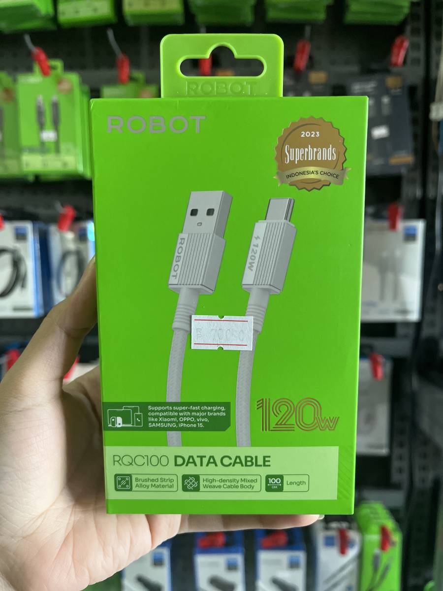 Robot RQC100 Data Cable 120W Type C White